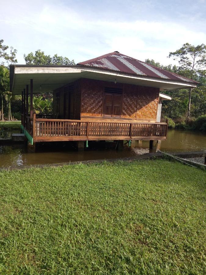 Green Lodge Tangkahan Ngoại thất bức ảnh