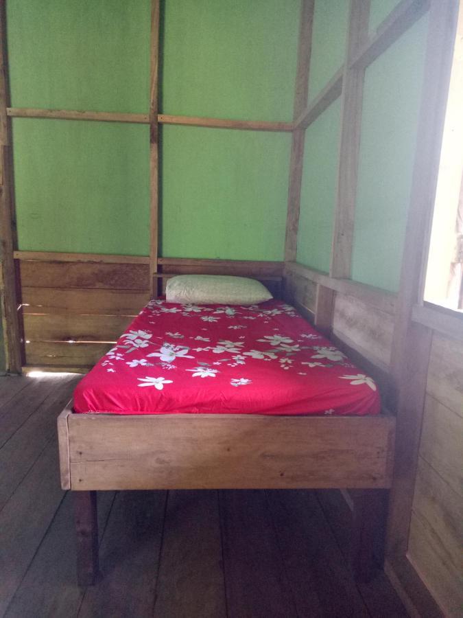 Green Lodge Tangkahan Ngoại thất bức ảnh