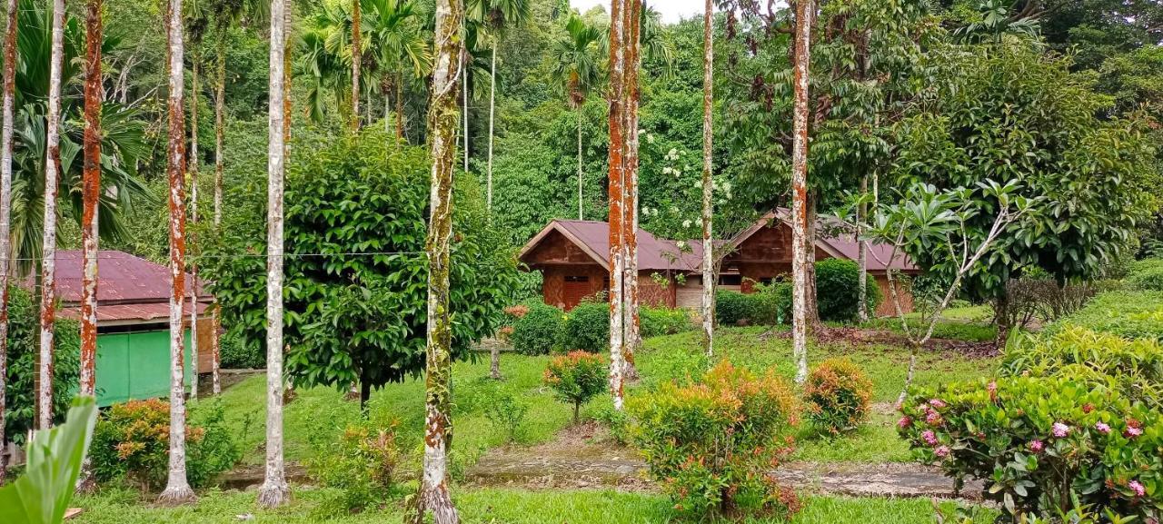 Green Lodge Tangkahan Ngoại thất bức ảnh