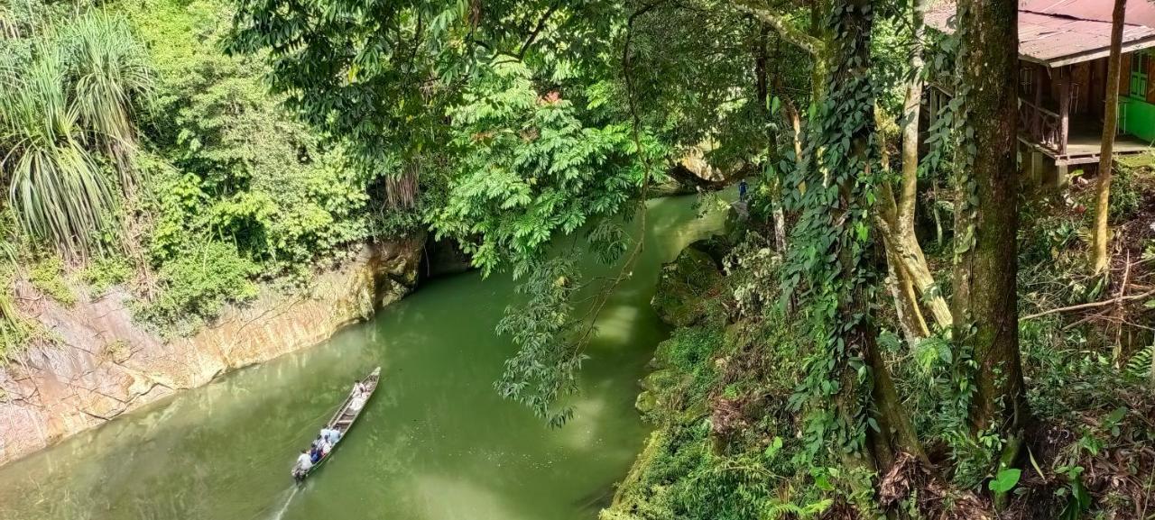 Green Lodge Tangkahan Ngoại thất bức ảnh