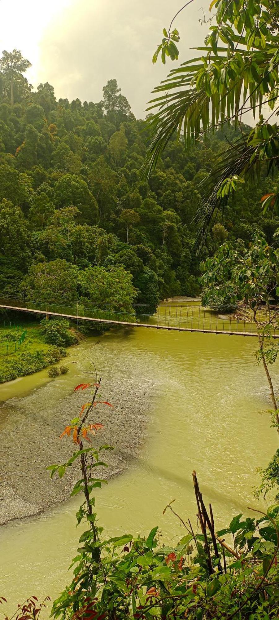 Green Lodge Tangkahan Ngoại thất bức ảnh