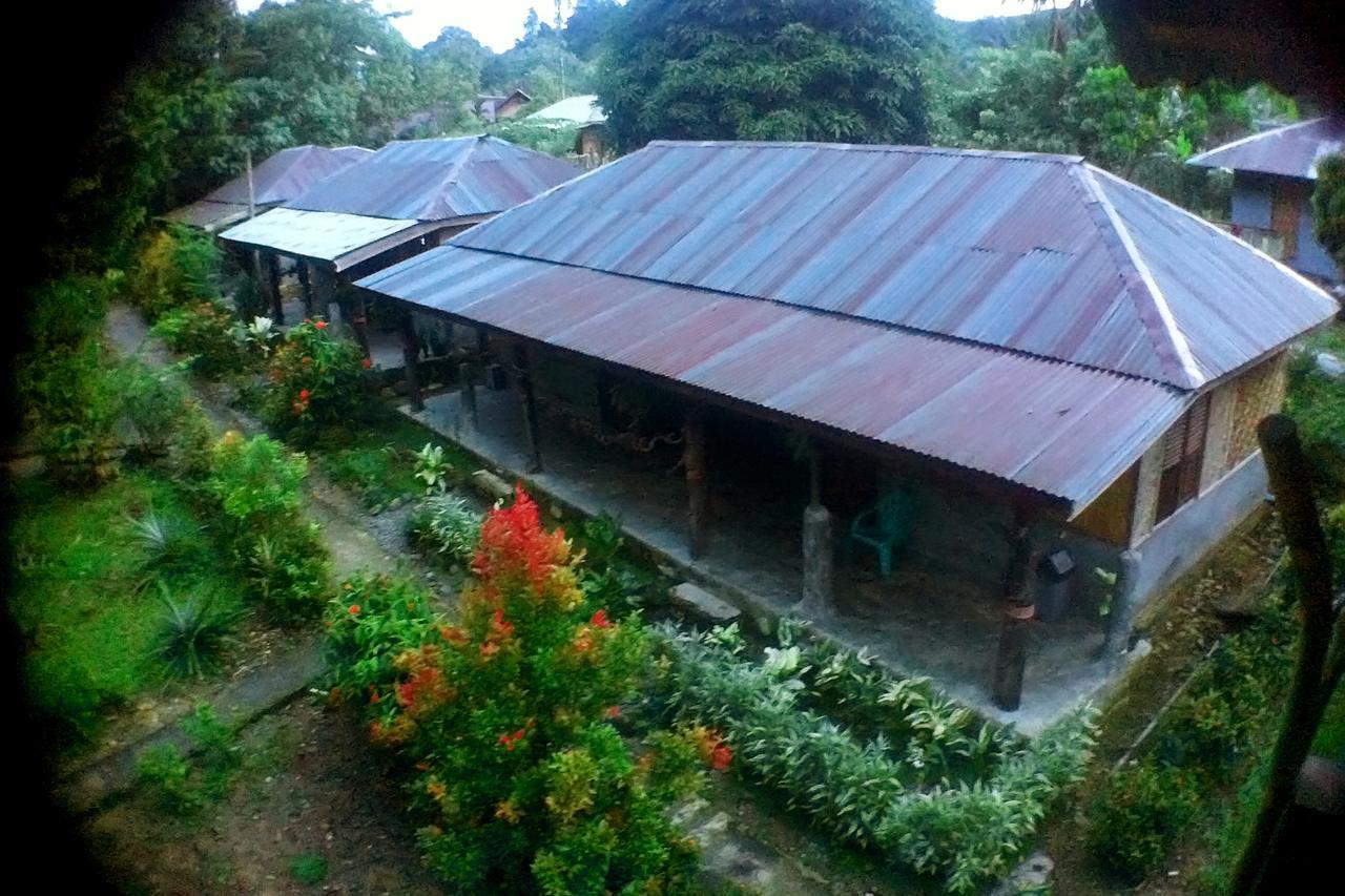 Green Lodge Tangkahan Ngoại thất bức ảnh