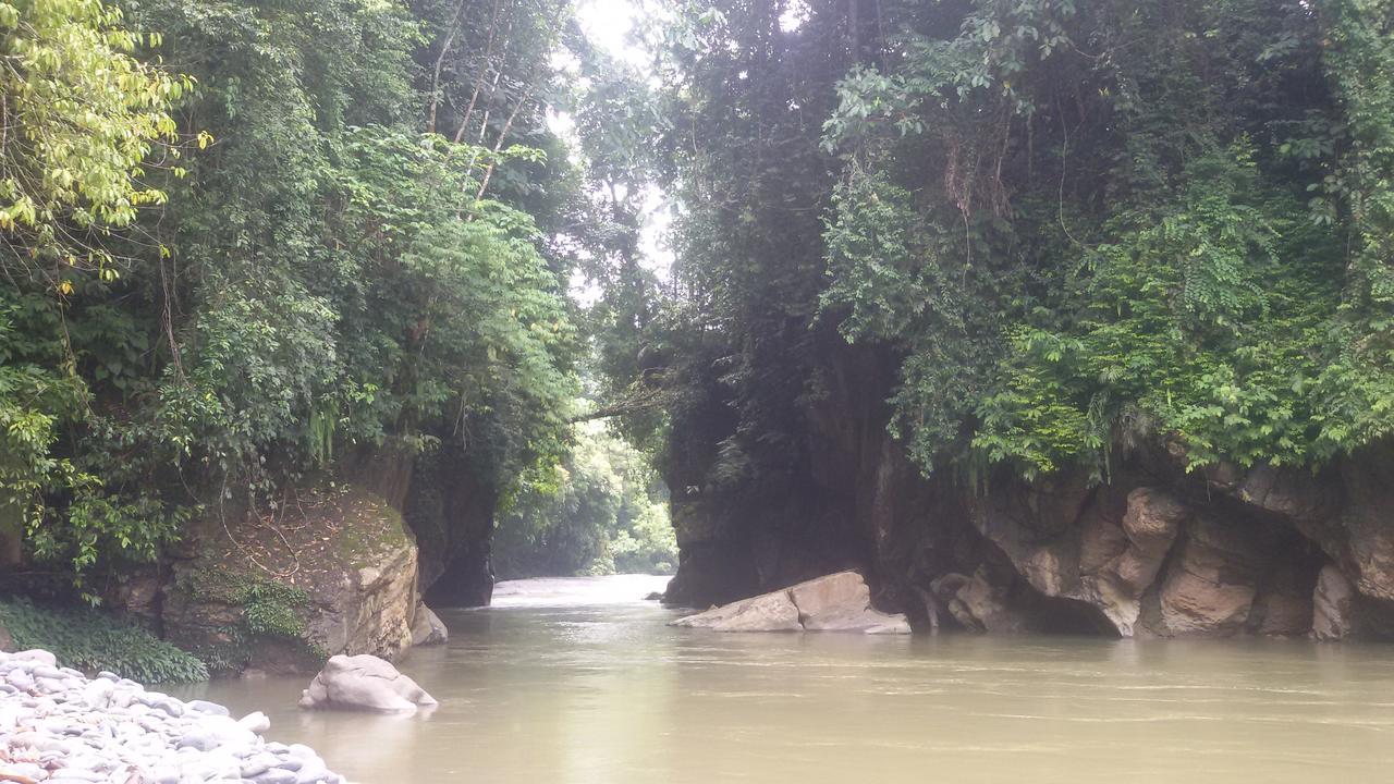 Green Lodge Tangkahan Ngoại thất bức ảnh