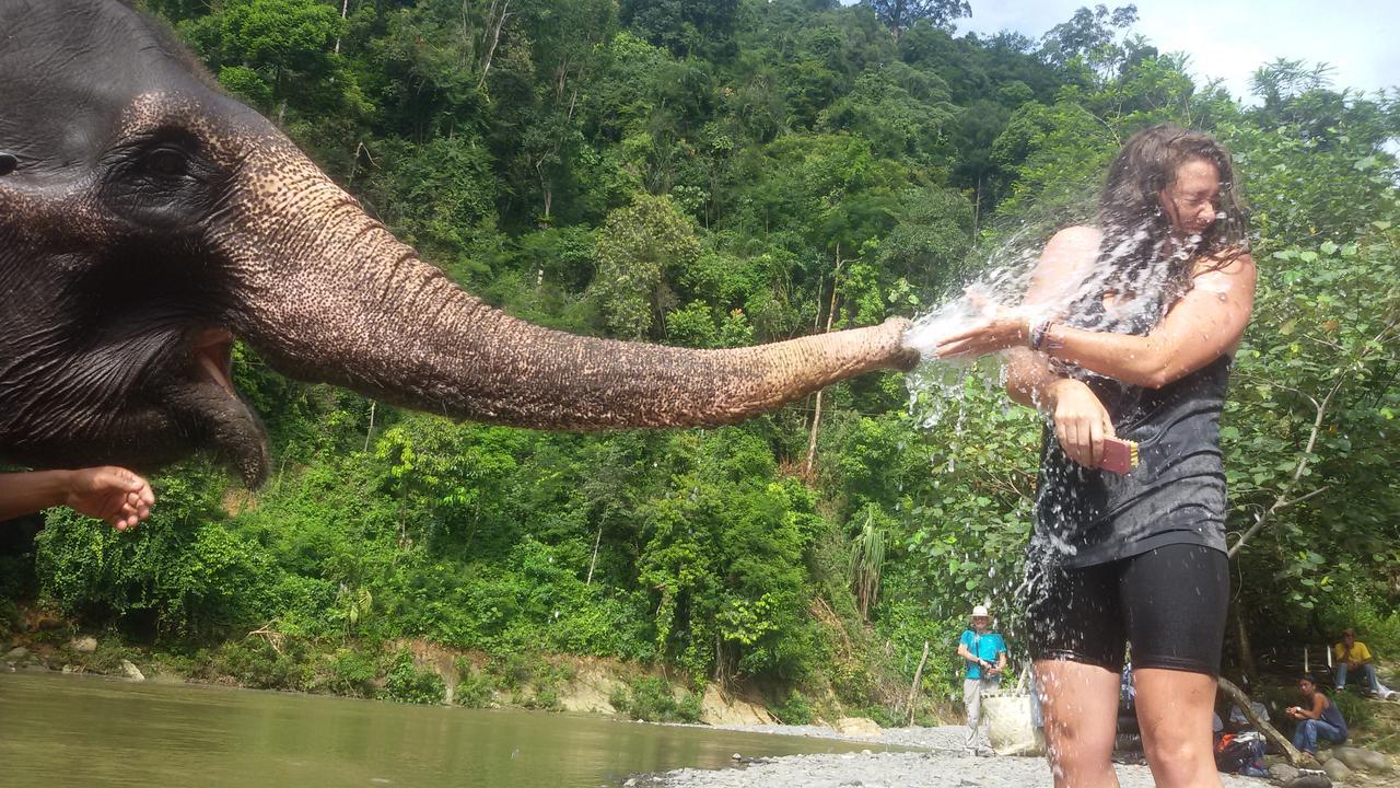 Green Lodge Tangkahan Ngoại thất bức ảnh