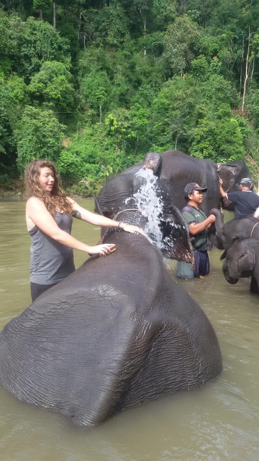 Green Lodge Tangkahan Ngoại thất bức ảnh