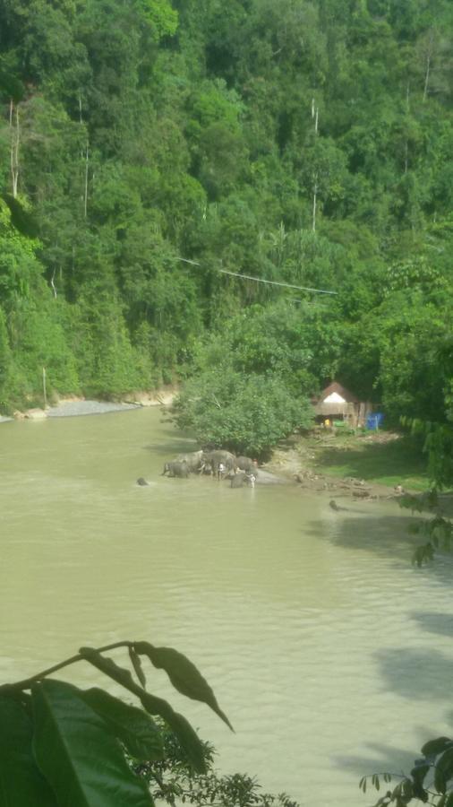 Green Lodge Tangkahan Ngoại thất bức ảnh