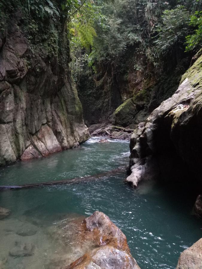 Green Lodge Tangkahan Ngoại thất bức ảnh
