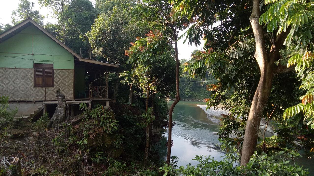 Green Lodge Tangkahan Ngoại thất bức ảnh