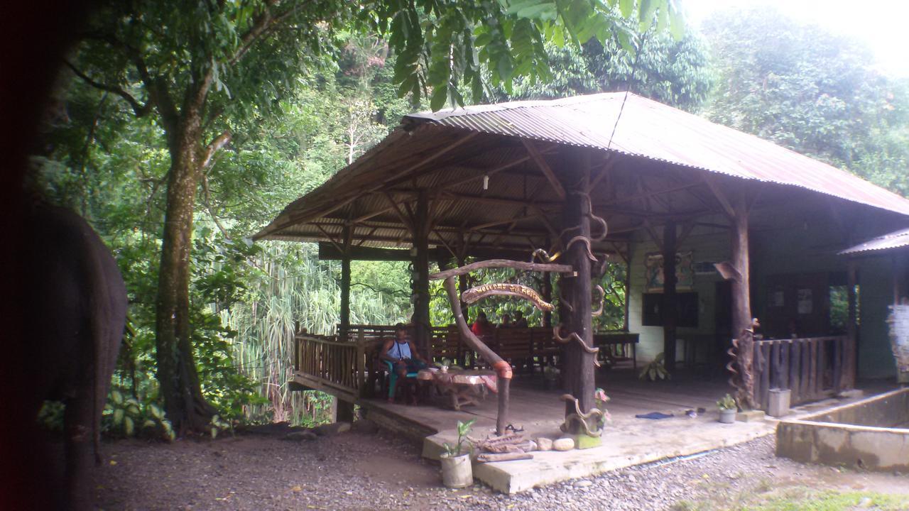Green Lodge Tangkahan Ngoại thất bức ảnh