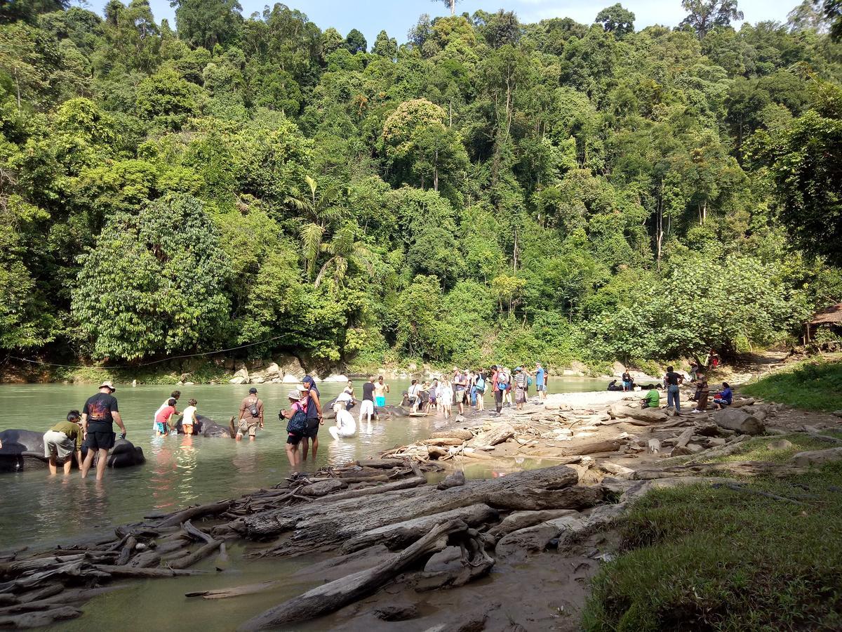 Green Lodge Tangkahan Ngoại thất bức ảnh