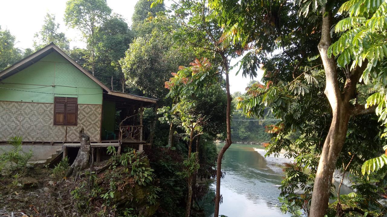 Green Lodge Tangkahan Ngoại thất bức ảnh