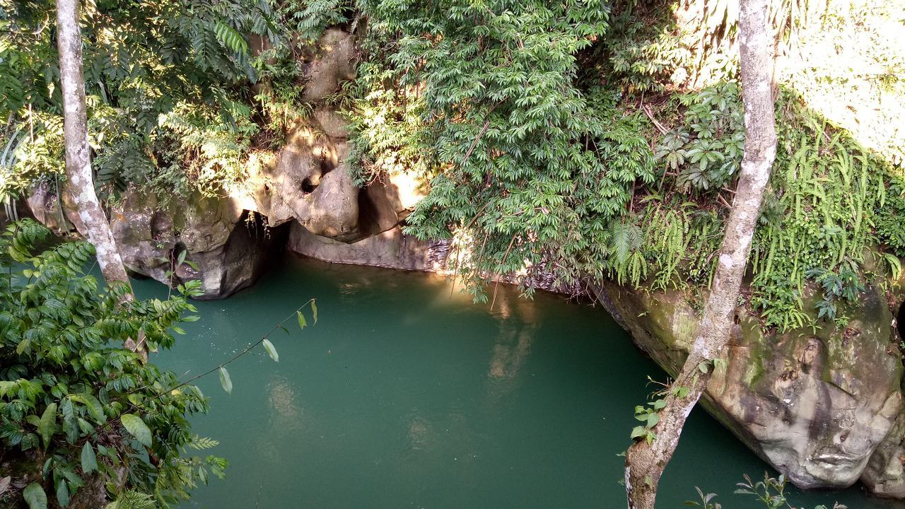 Green Lodge Tangkahan Ngoại thất bức ảnh