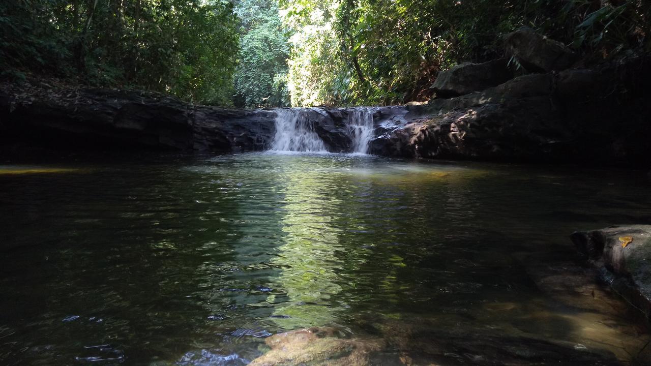 Green Lodge Tangkahan Ngoại thất bức ảnh