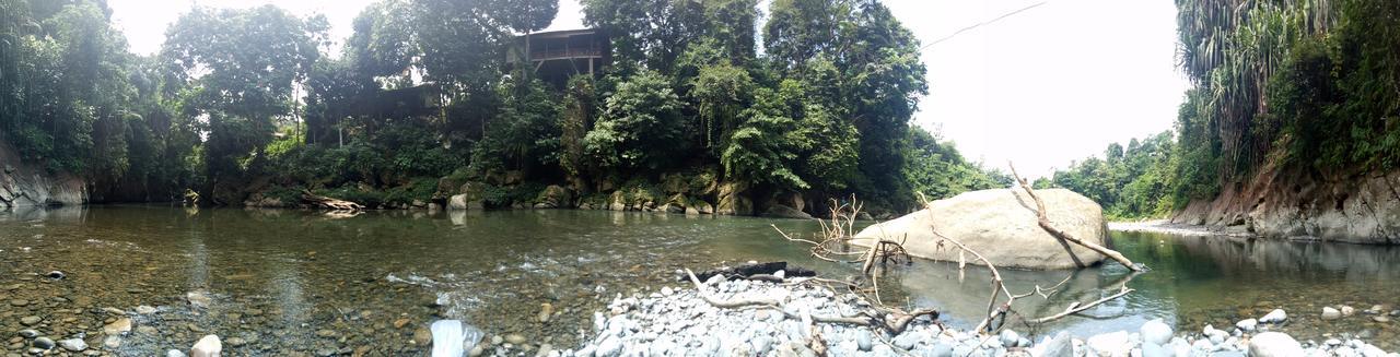 Green Lodge Tangkahan Ngoại thất bức ảnh