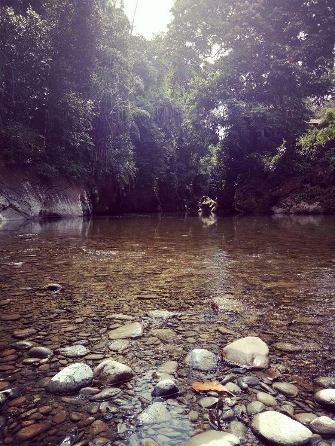 Green Lodge Tangkahan Ngoại thất bức ảnh