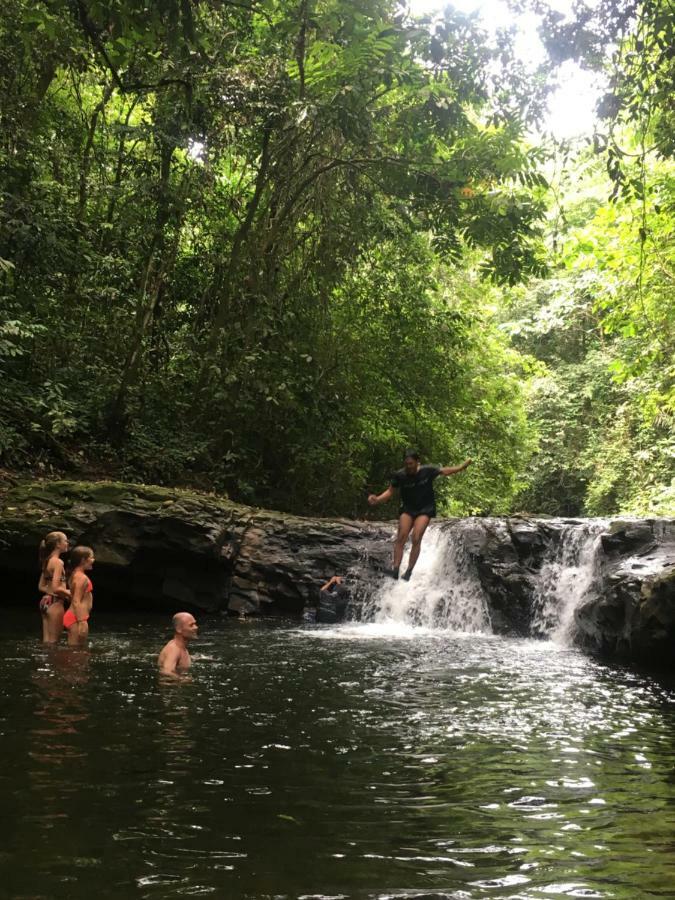 Green Lodge Tangkahan Ngoại thất bức ảnh